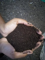 Vermicompost Fertilizer for Plants (Pack of 2)